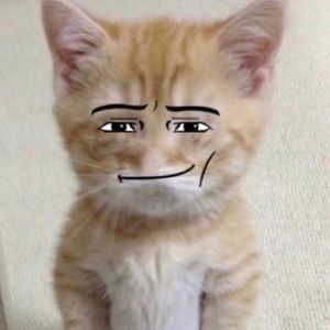 Meet your Posher, Kenzi